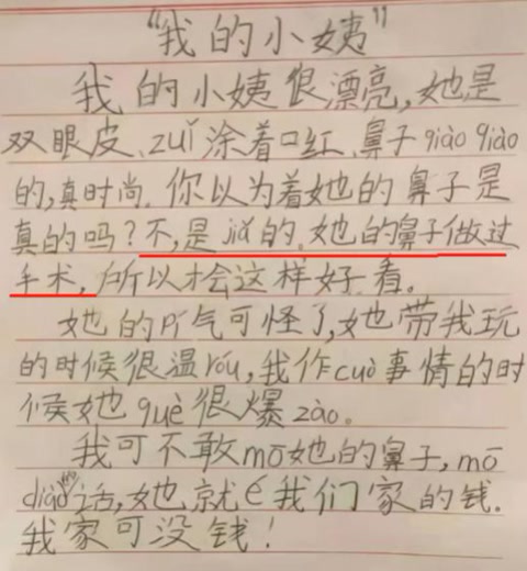 《我的小姨》一片小学生作文
