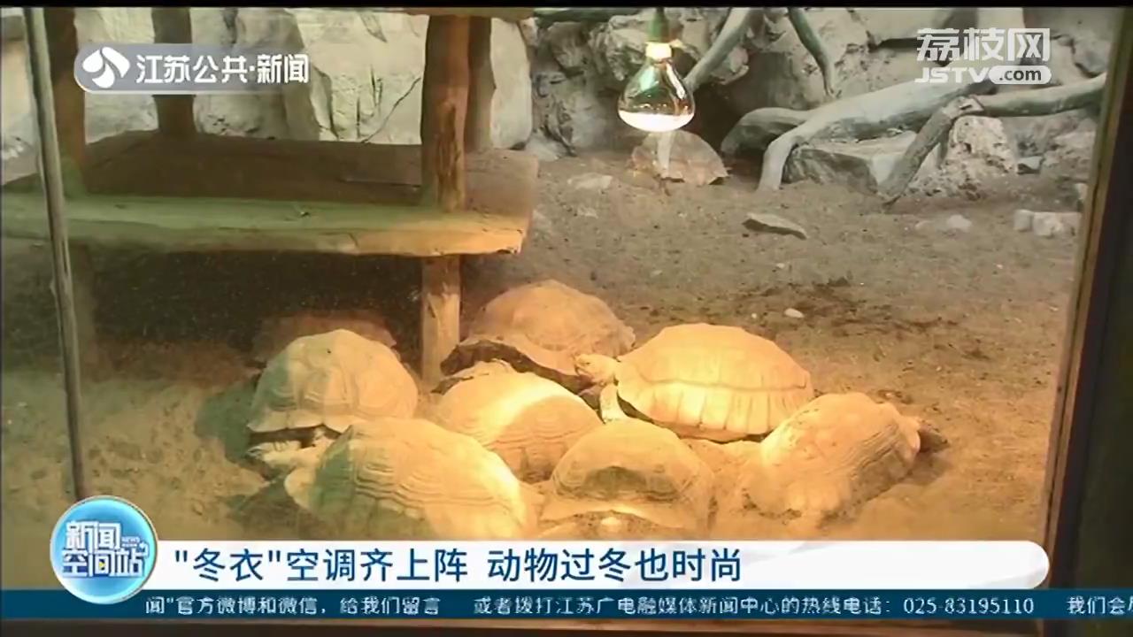 “冬衣”空调齐上阵 常州淹城动物过冬也时尚