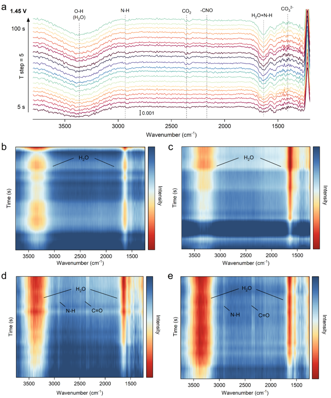 广州大学/悉尼大学｜阳离子空位活化晶格氧助力尿素氧化