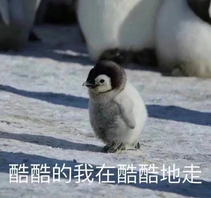 相濡以沫形容爱情到底好不好（夫妻相守一生金典成语）-大连信息网