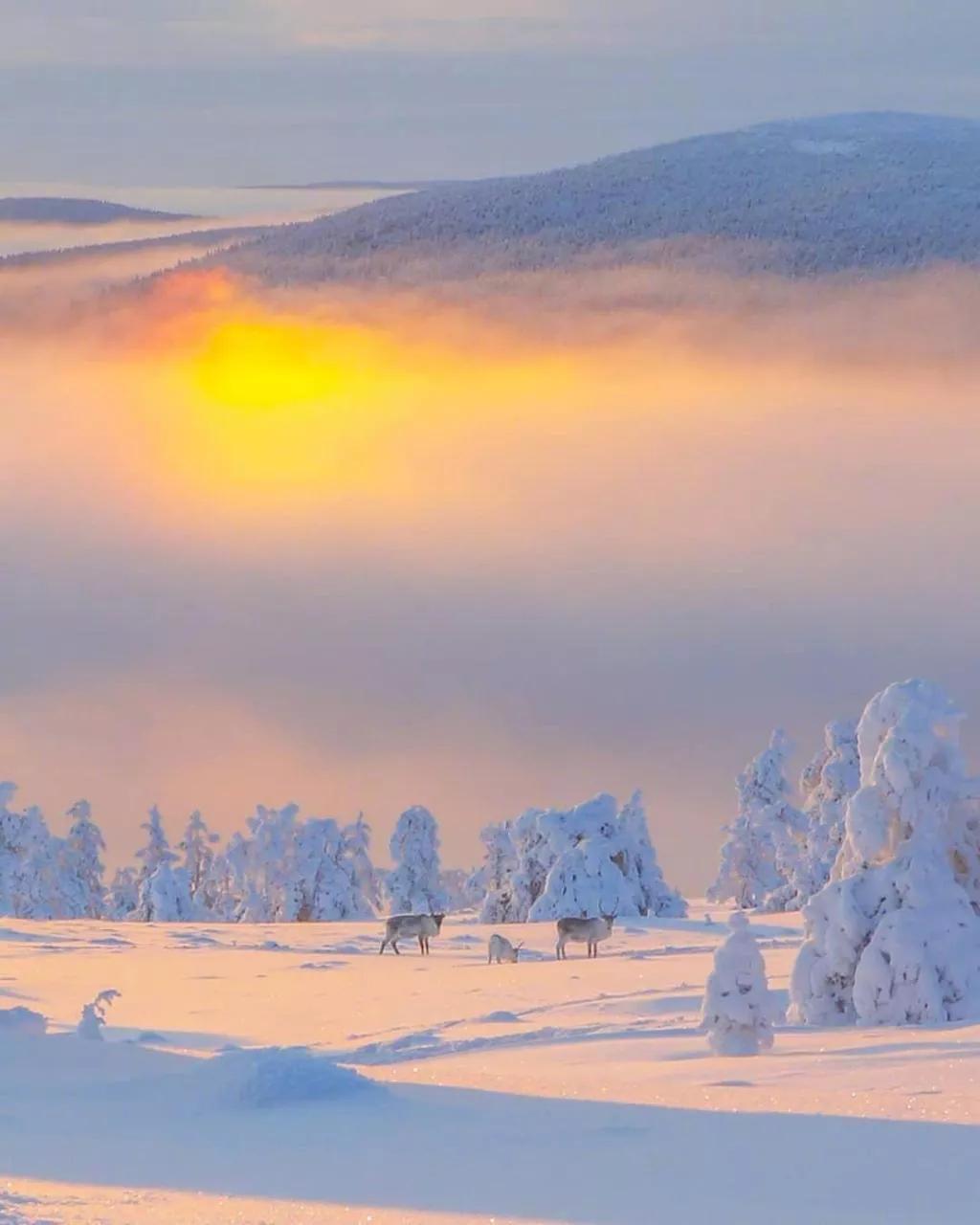 立冬了，适合冬天发朋友圈的句子
