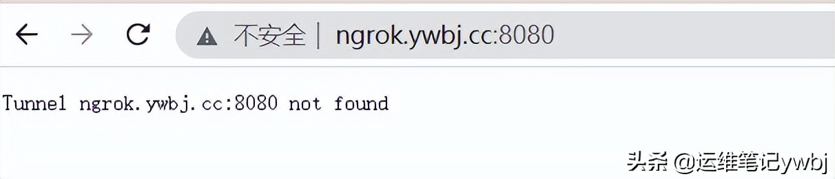 Linux搭建ngrok服務(wù)器，內(nèi)網(wǎng)穿透服務(wù)，實(shí)現(xiàn)外網(wǎng)到內(nèi)網(wǎng)的在線訪問(wèn)