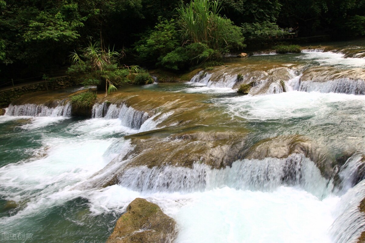 娃娃魚(yú)苗,娃娃魚(yú)苗多少錢(qián)一尾