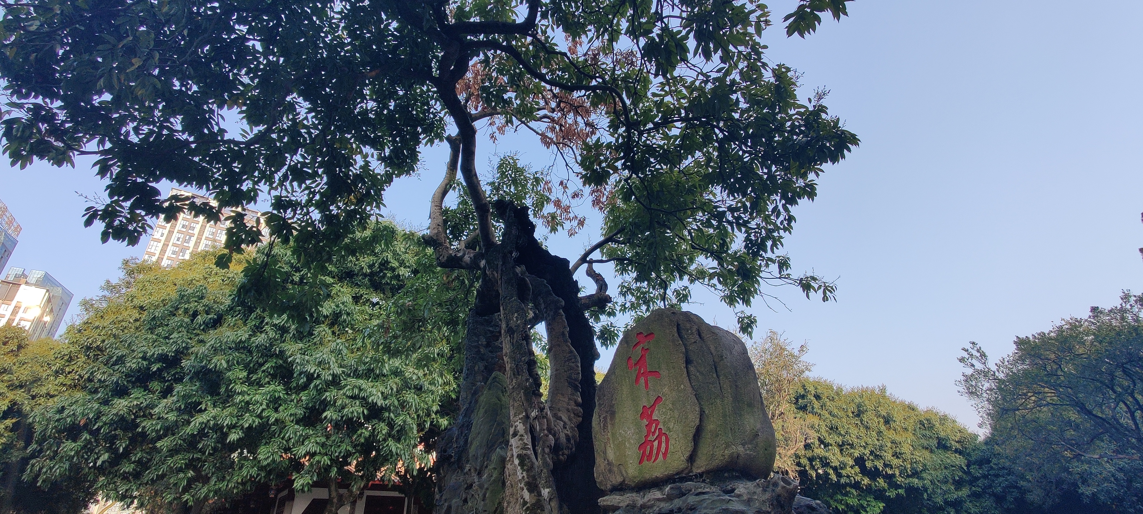 西禅寺(游福州西禅寺)