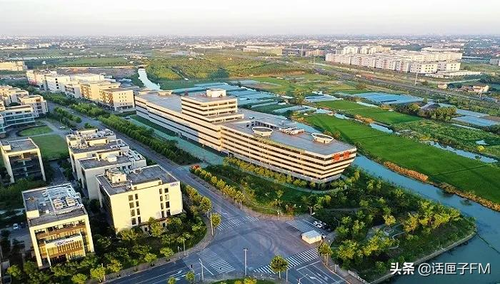 今年全力推进的生物医药产业“上海方案”如何发力？这些领跑数字里，藏着高质量密码