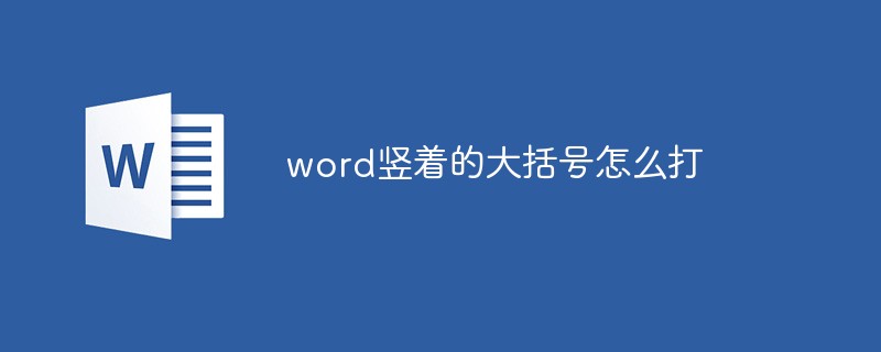 大括号在word里怎么打（大括号在word里怎么打快捷键）-第1张图片-科灵网