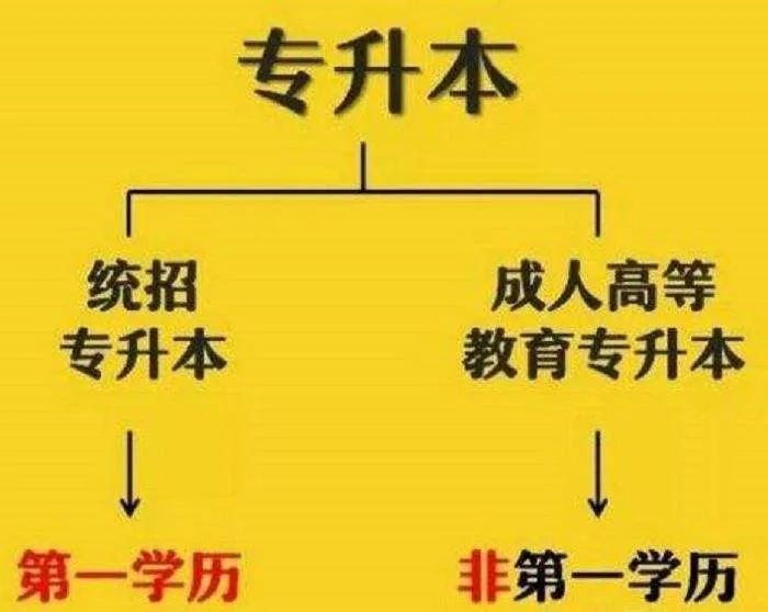 自考专升本的条件与要求(自考专升本科需要什么条件与要求) - 升本吧