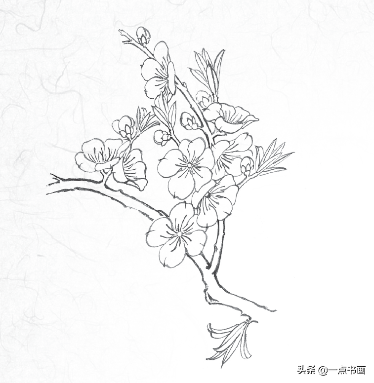 桃花树怎么画好看(教你简单易上手的桃花树画法)-72情怀网