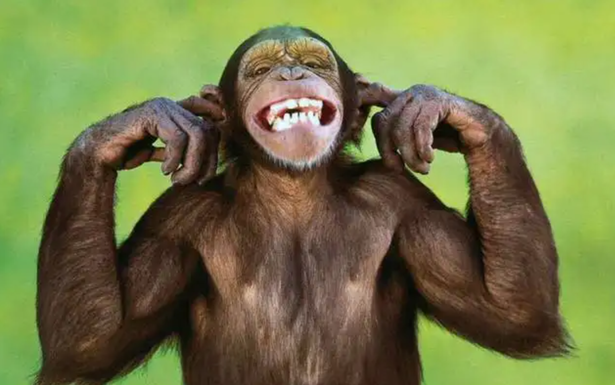 人类头发生长的极限长度是多少?