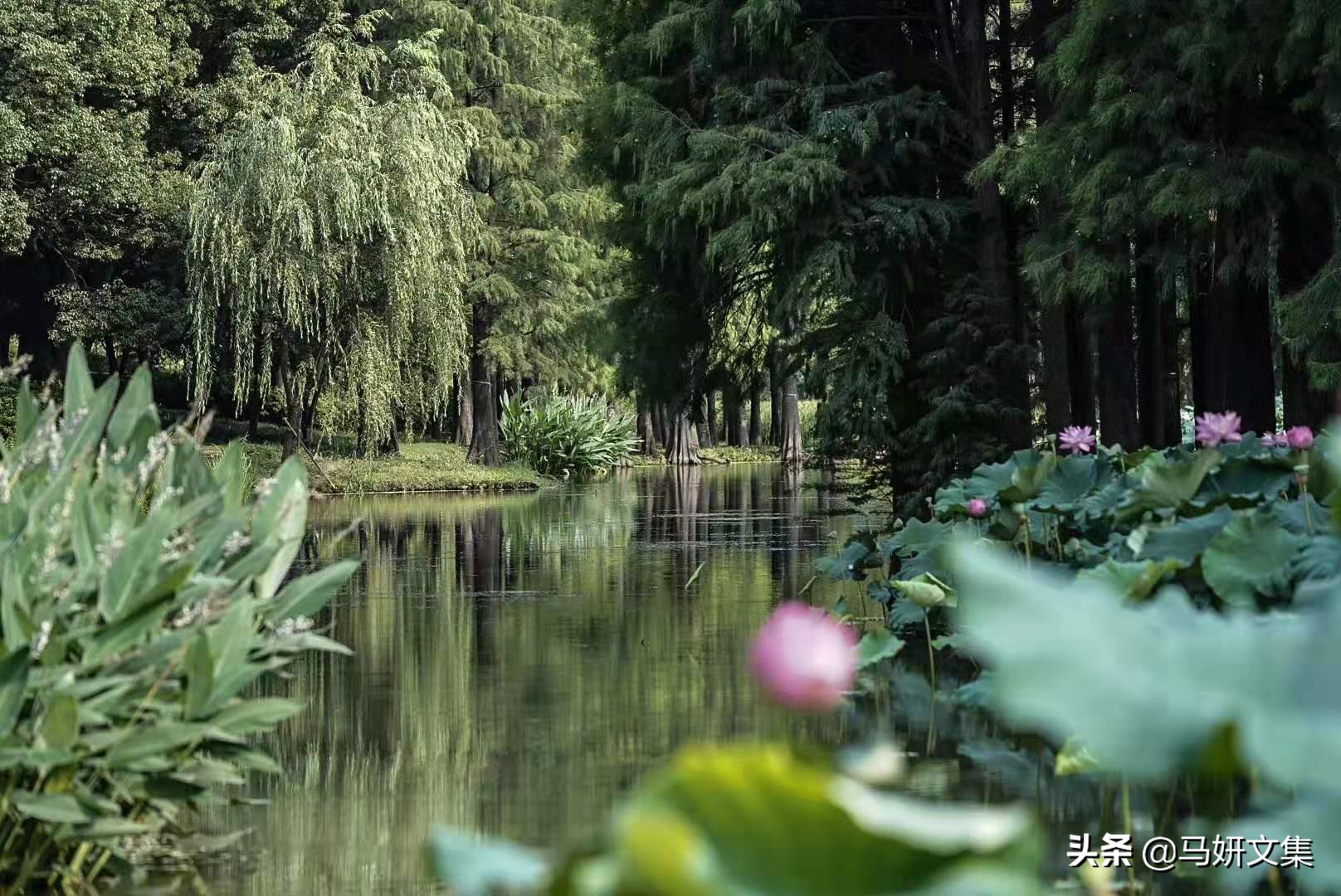 味道，有着记忆的模样（送给人生挚友）