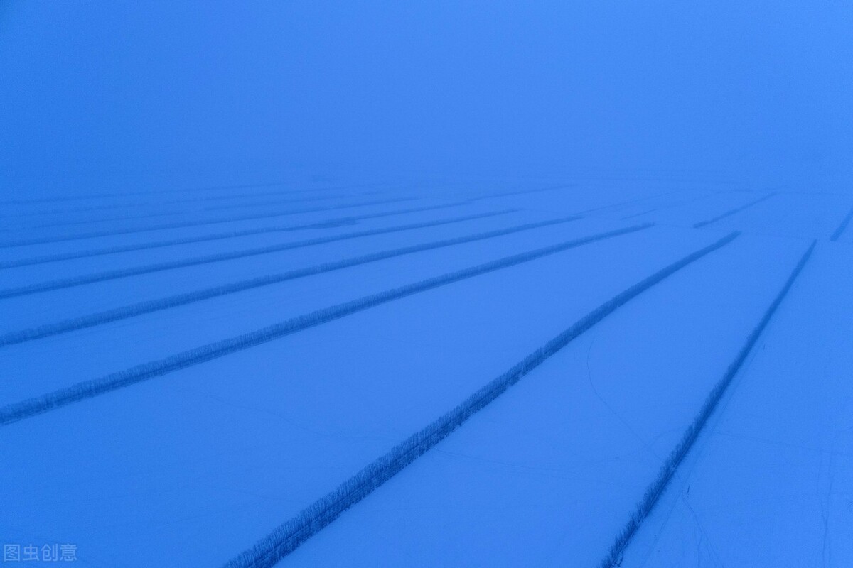 一场雪引起的思念之情