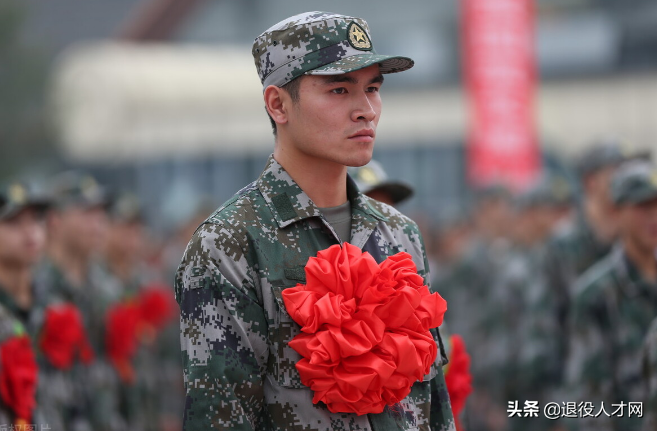 本科学历想去当兵，两年退伍回来怎么规划？