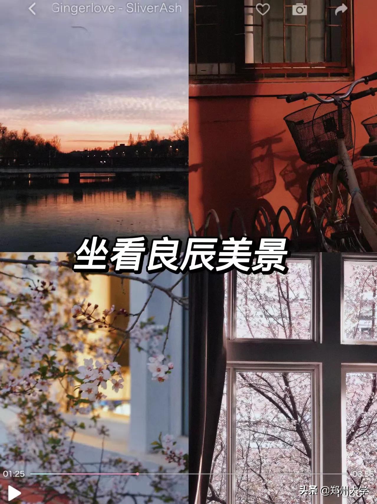 “格式化”看郑大