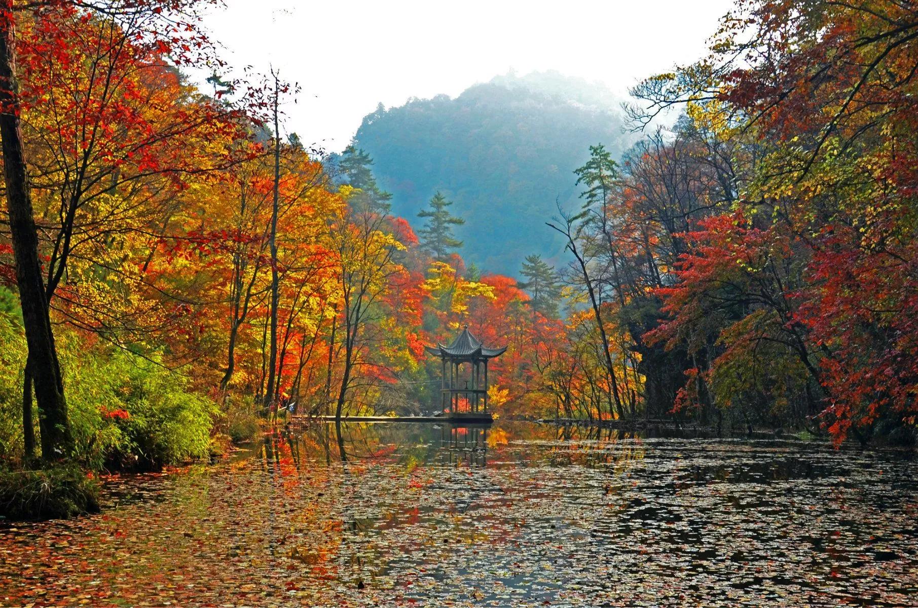 漢中旅遊攻略景點必去(漢中有哪些好玩的地方和景點)