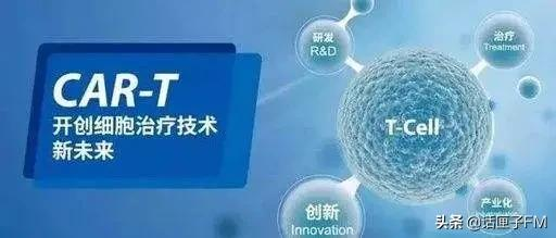今年全力推进的生物医药产业“上海方案”如何发力？这些领跑数字里，藏着高质量密码
