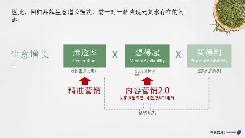 元气森林森林媒介投资规划PPT「食品饮料」「种草带货」
