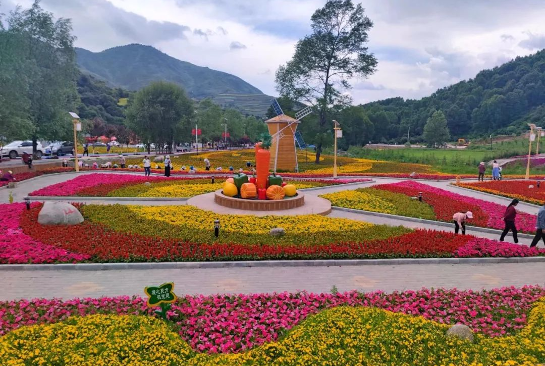 临潭：党建引领打造乡村振兴示范村