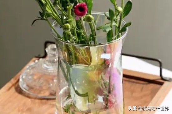 鲜花多久换一次花瓶里面的水（鲜花几次换水）-第3张图片-科灵网