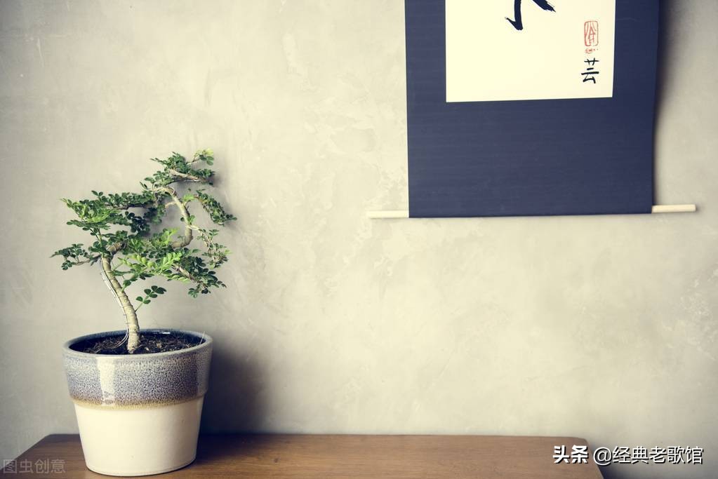 狠心删除了你，是我真的寒心了