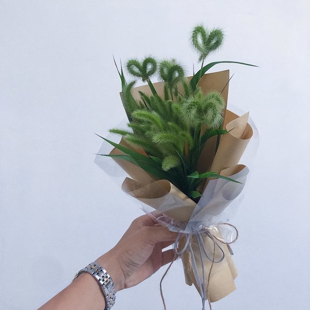 狗尾巴草的花语 狗尾草的唯美句子-泛经验