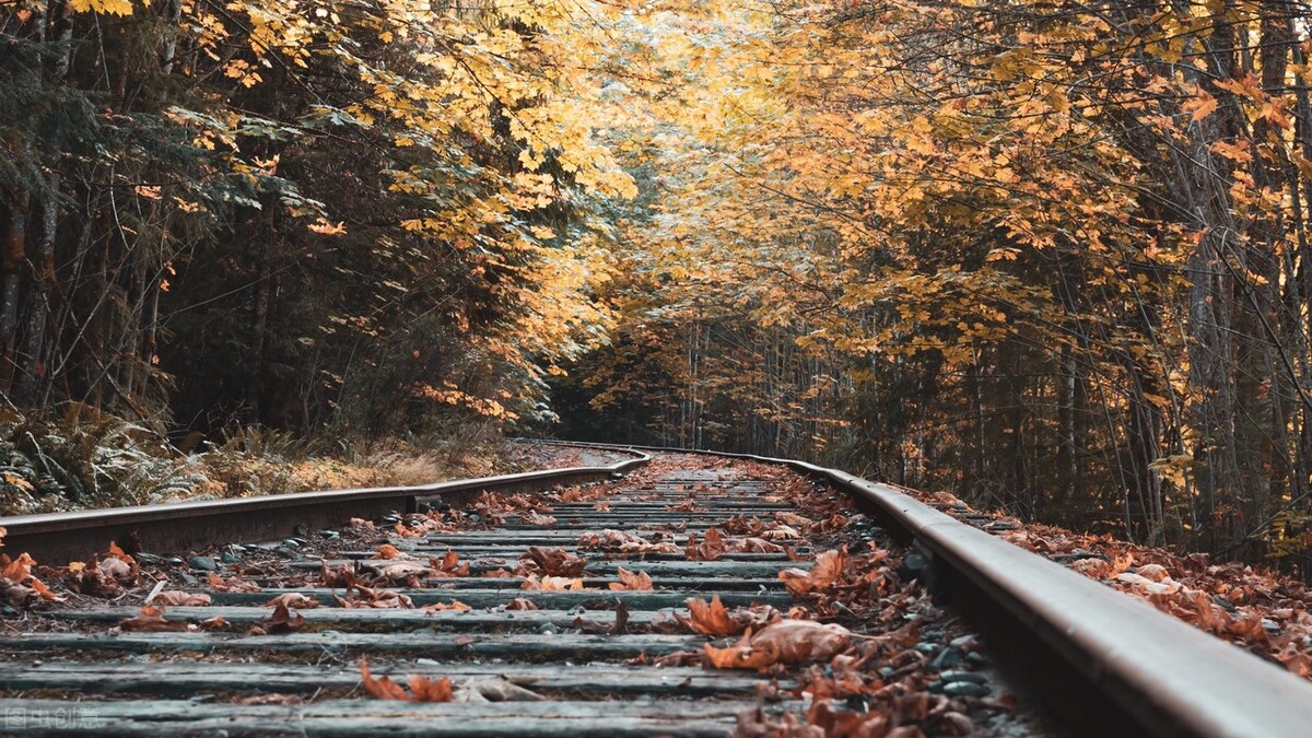 感悟深秋的唯美句子(适合秋天的浪漫文案短句)