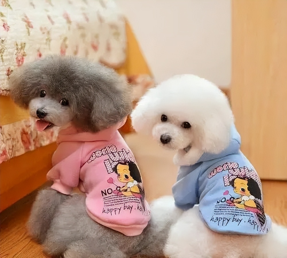 狗狗1岁=人7岁？那你大错特错了，附上最新的年龄换算表