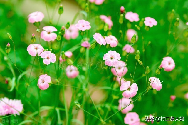 盘点军营里的歌