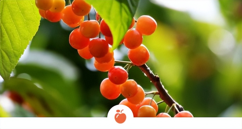 一场篮球比赛多少人（「我的初中生活」阎烁宁《多彩的活动-记一次篮球比赛》（1））