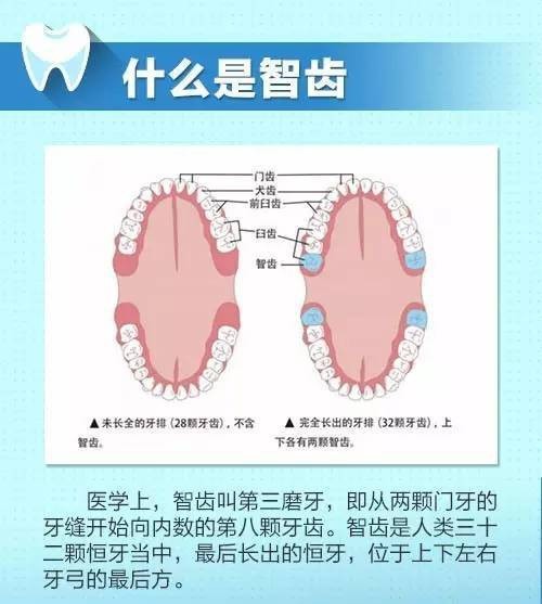 为什么要拔智齿？拔智齿有危险吗？什么情况下不能拔智齿？