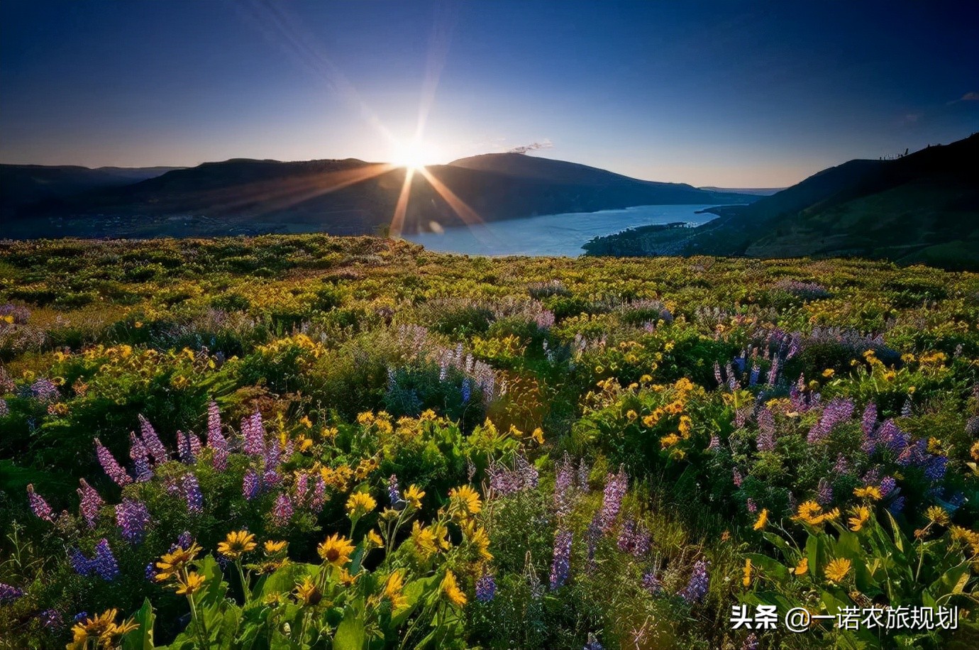 乡村振兴：土地、资金与收益