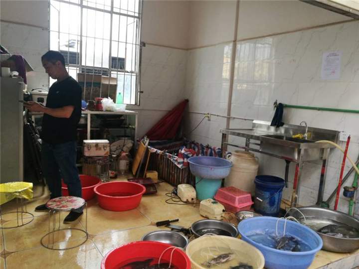 大姚县农业农村局 狠抓水产品质量安全监管整治工作