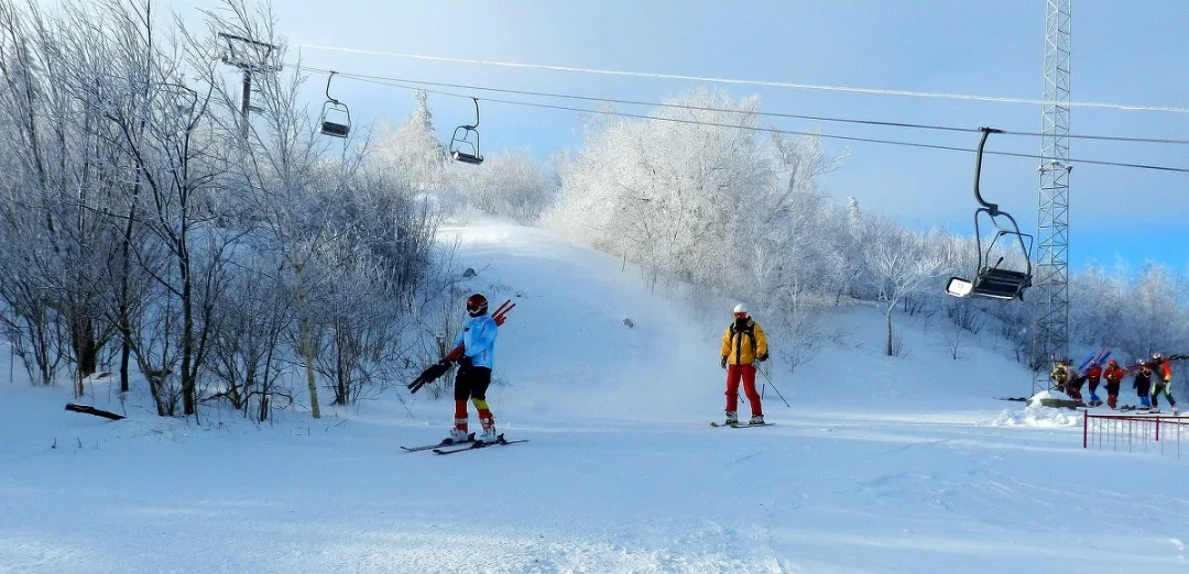 滑雪季来啦！哈尔滨这些滑雪场你去过几个？
