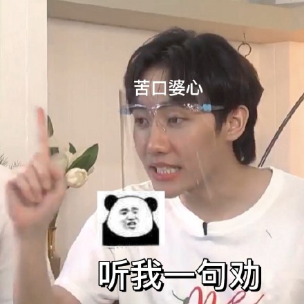 尽管书书经常被有"独生子计划"的亲哥黑,奉献了不少表情包.