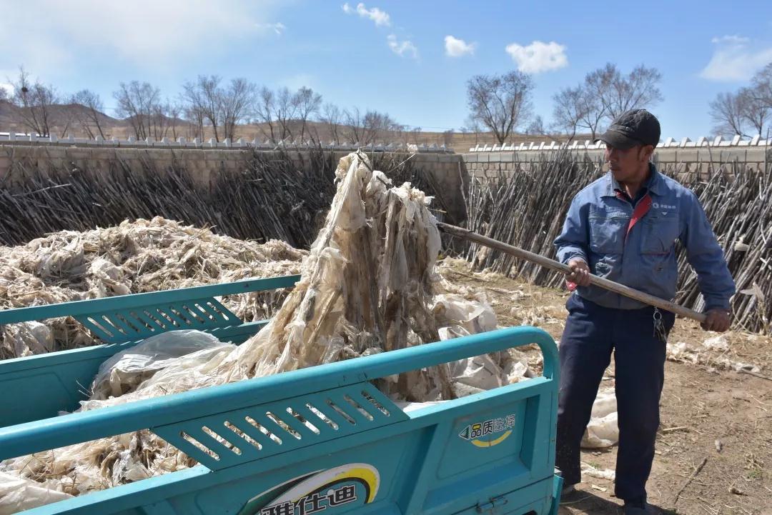 廢棄農用地膜降解需200年,0.5元回收終結