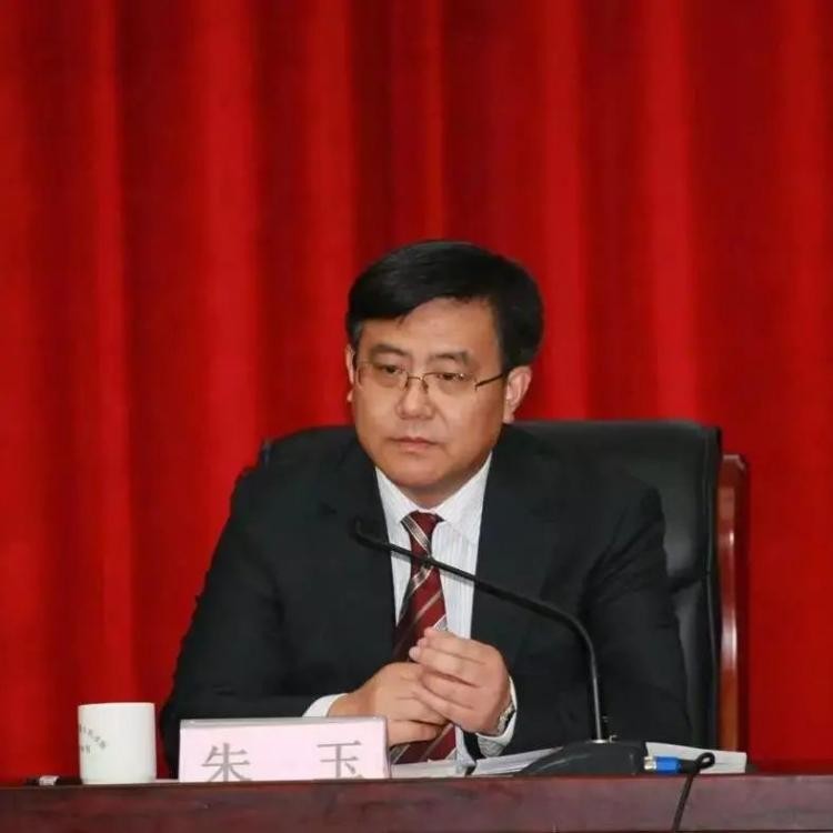 两会召开！这56位人大代表、政协委员进京履职，全部来自重庆同一大学！