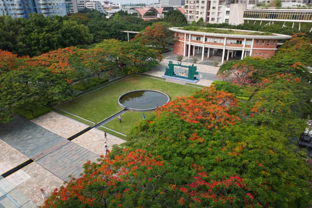 深圳华侨城生态广场——凤凰花海见证深圳20余年变迁 / AUBE