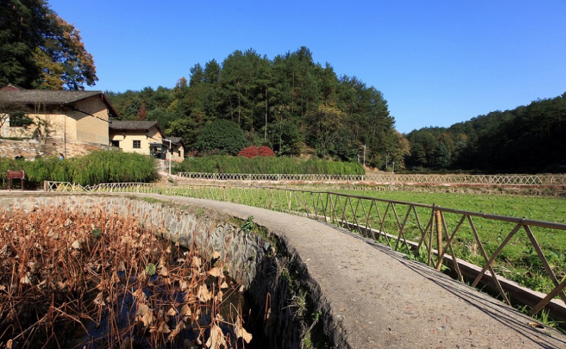 湖南必去的十大景点（湖南必去十大景点排名 景区）-第49张图片-科灵网