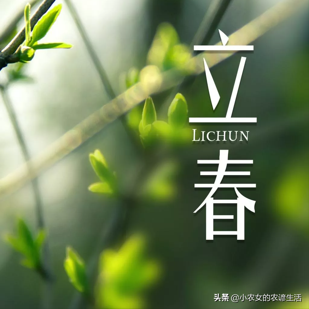 晴空万里微风轻拂，气温舒适宜人，适宜外出踏青与户外活动，周末好天气不容错过。