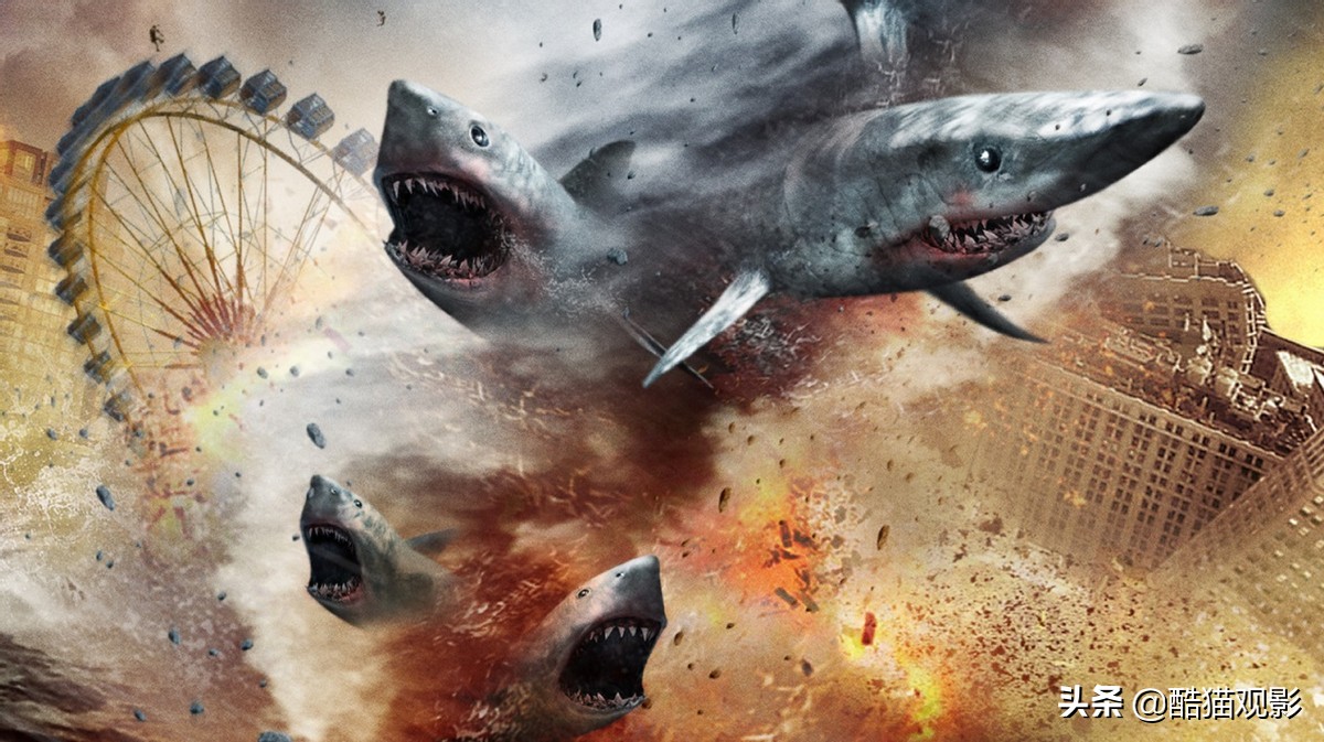 关于鲨鱼的电影有哪些好看的10部鲨鱼题材电影