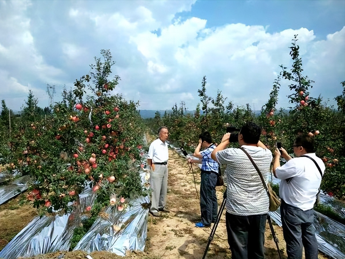 一亩收入近十万,五年前少有人知,如今荣登市场新贵宝座
