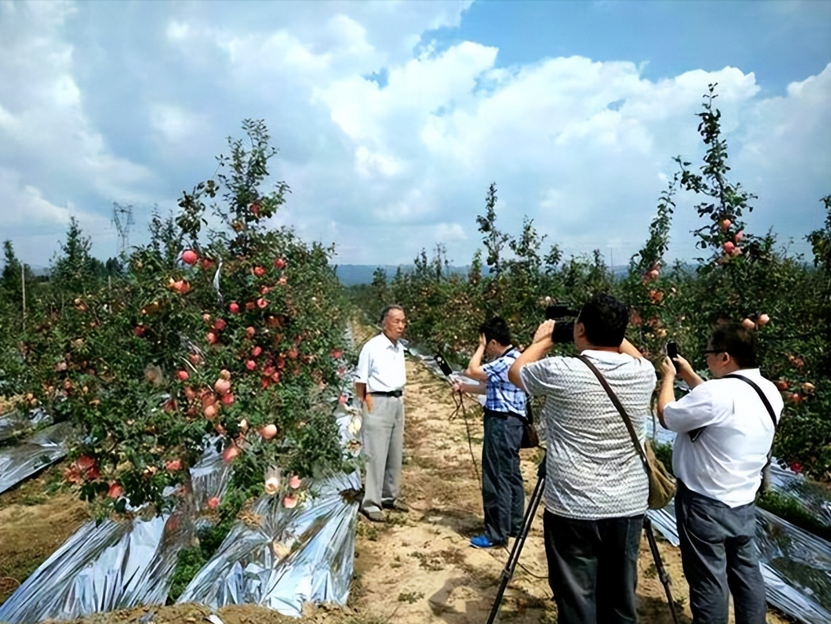 一亩收入近十万，五年前少有人知，如今荣登市场新贵宝座