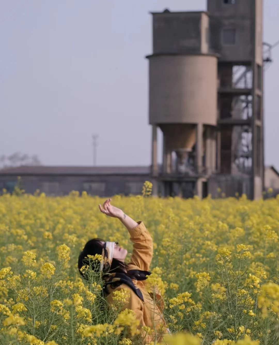 瞒不住了！苏州新晋春日宝藏打卡地，人少景美