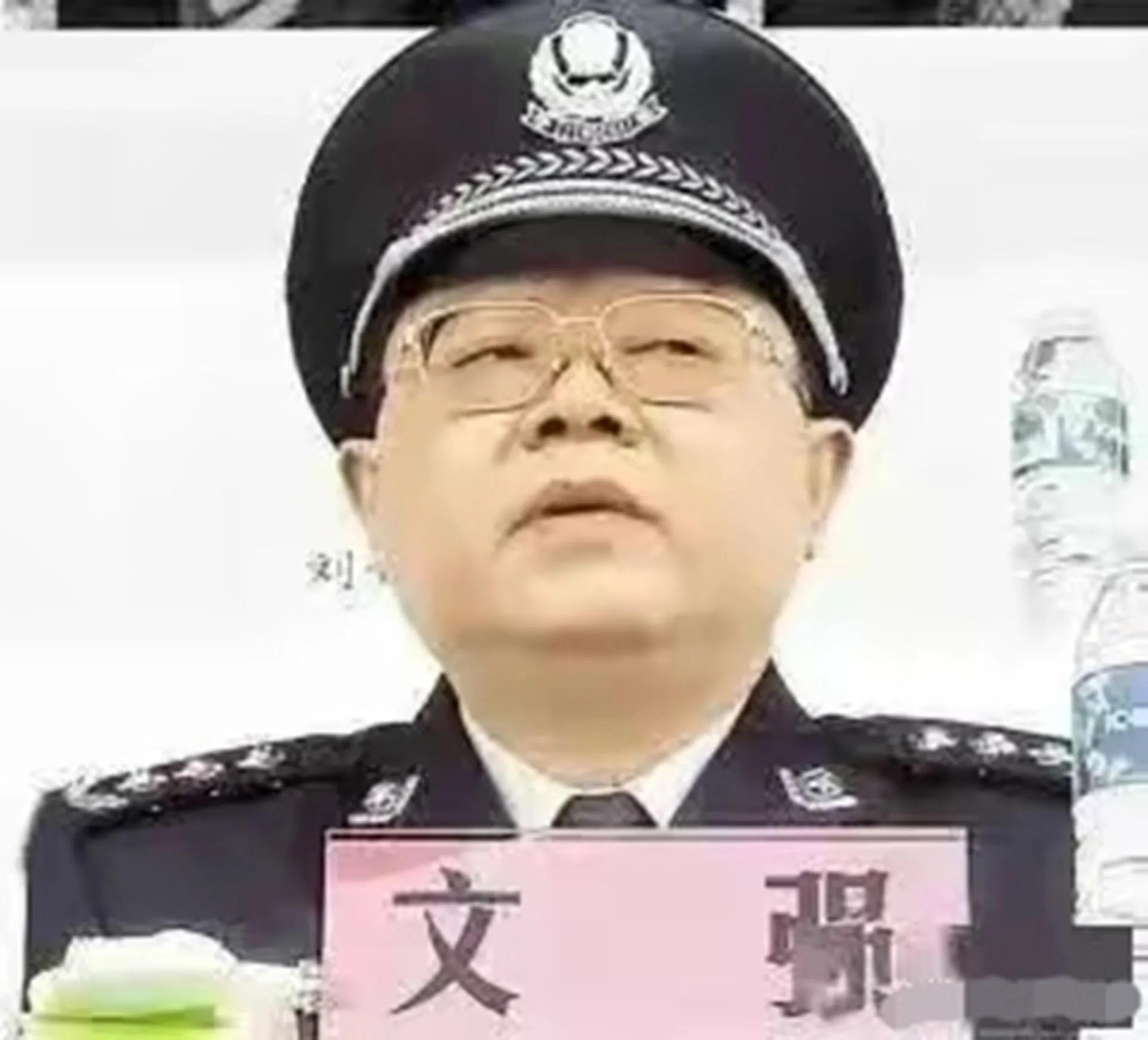 文强 除暴图片