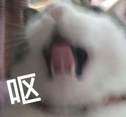冻结资金,冻结资金怎么解冻