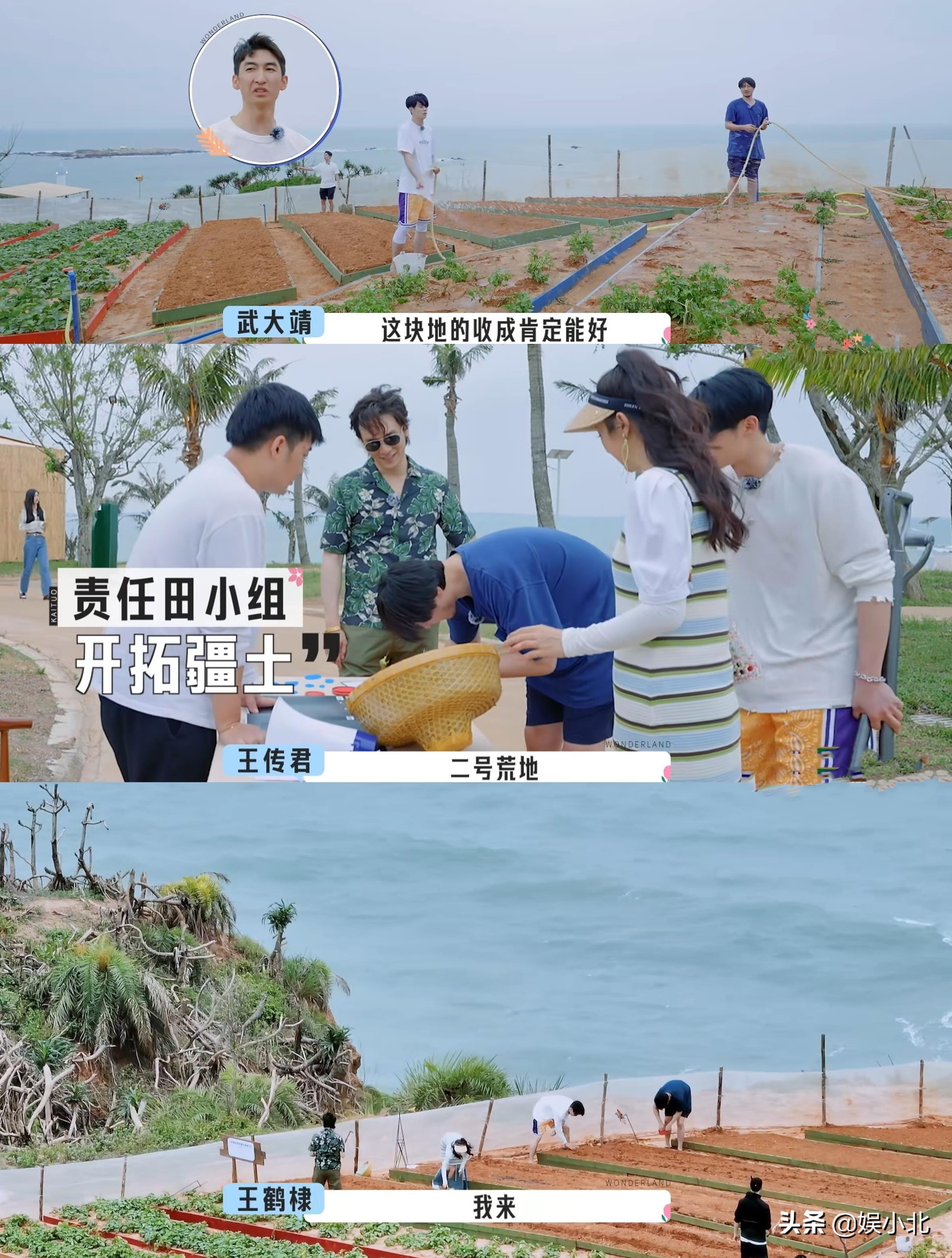 宋丹丹离开后，才读懂李雪琴：真正的精神内耗不是卷，而是假社交