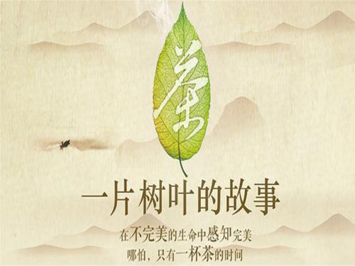 《茶,一片树叶的故事》,一共分为六个篇幅,每个篇幅50分钟,分别从茶的