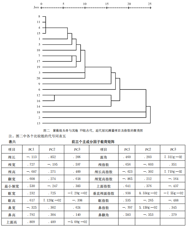 西安紫薇田园都市唐墓人骨种系初探