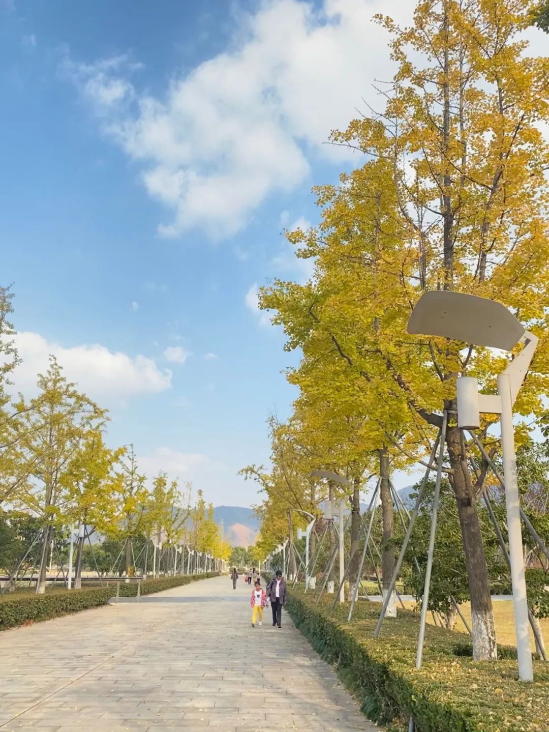 苏州16个绝美赏秋圣地，大部分免费，别错过