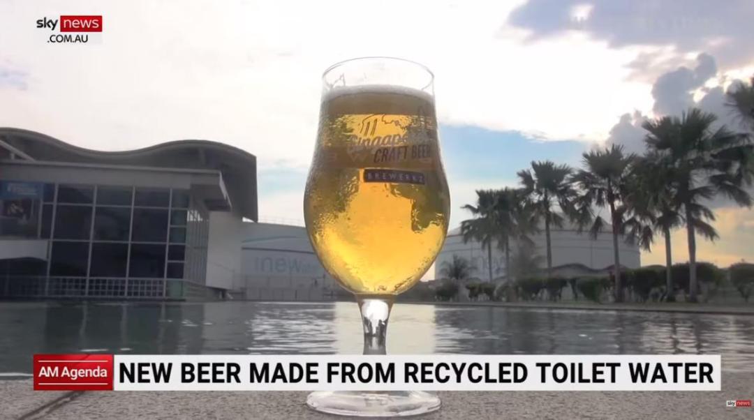 新加坡用回收的冲厕水酿啤酒，一上市，就脱销