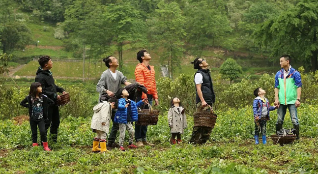 2006世界杯啦啦歌央视(《爸去哪》10位孩子，有人学费一年25万，有人却活成普通人家孩子)